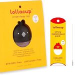 lollaland sippy cup review